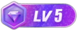 LV5 等级-LV5-萌玩ACG